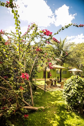 Gallery - Balsas Premier Hotel