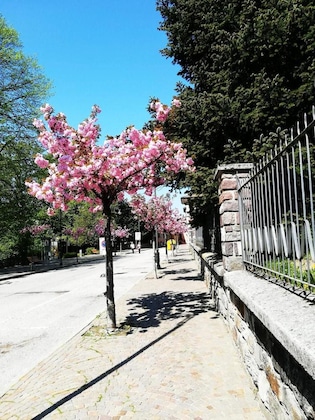 Gallery - Romanda