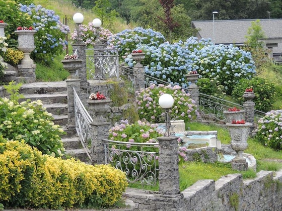 Gallery - Villa Delle Ortensie