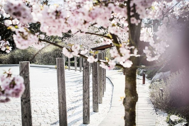 Gallery - Yasuragi
