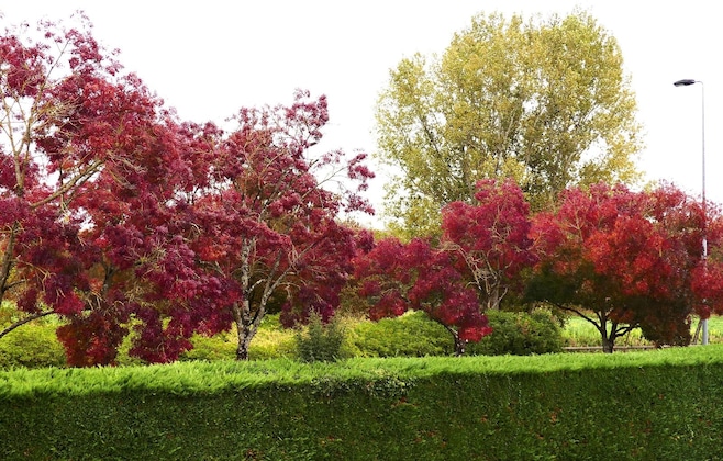 Gallery - Le Provençal