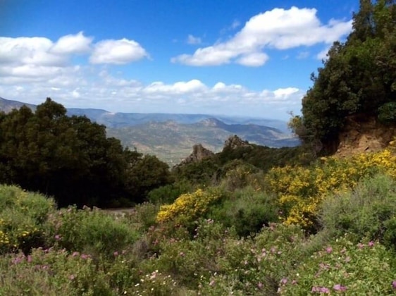 Gallery - Enis Monte Maccione