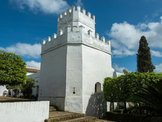 Gallery - Cortijo Torre la Reina