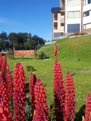 Gallery - Altos Ushuaia Hotel & Resto