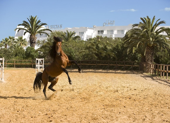 Gallery - La Badira - Adults Only