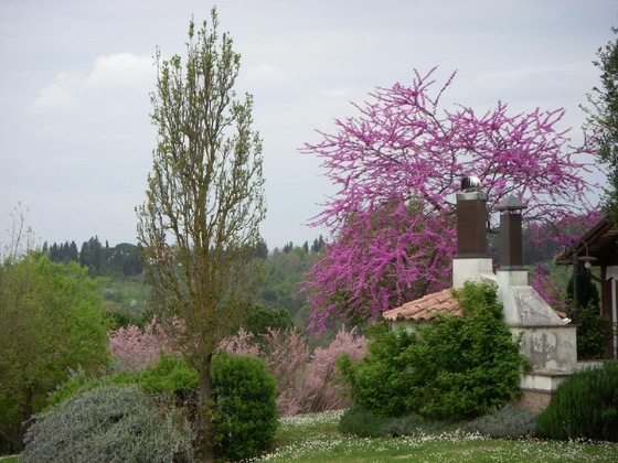 Gallery - Locanda Le Boscarecce
