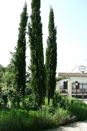 Gallery - Residenza Porta Guelfa