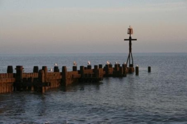Gallery - Seals Bacton