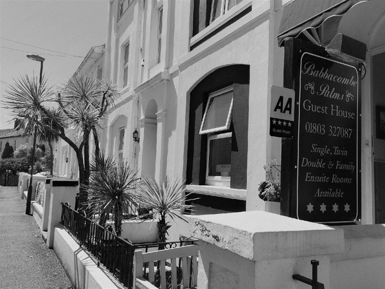 Gallery - Babbacombe Palms
