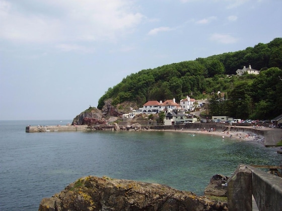 Gallery - Babbacombe Palms