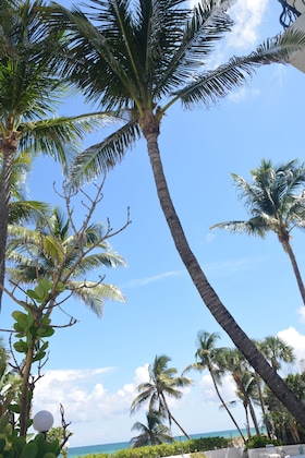 Gallery - New Point Miami Beach Apartments