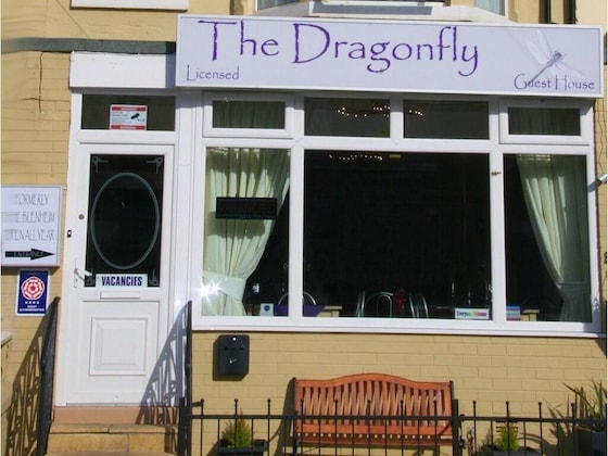 Gallery - The Dragonfly