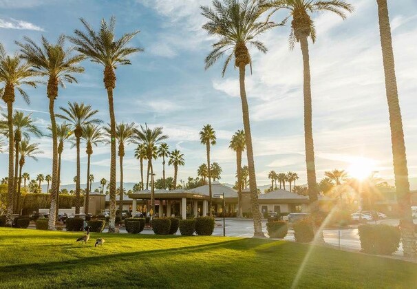 Gallery - Marriott's Desert Springs Villas I