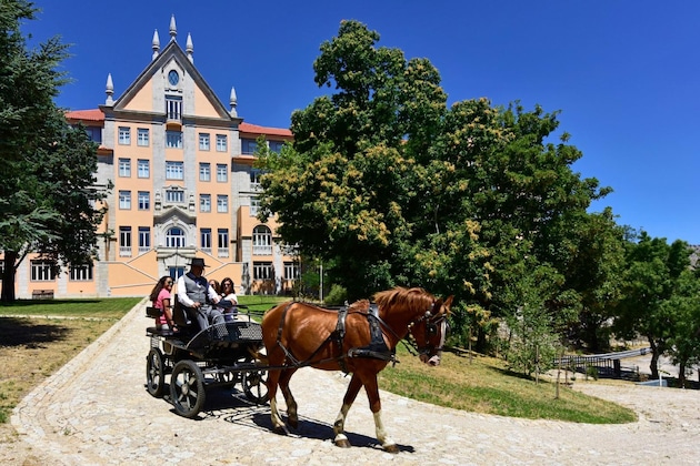 Gallery - Pousada Da Serra Da Estrela - Historic Hotel