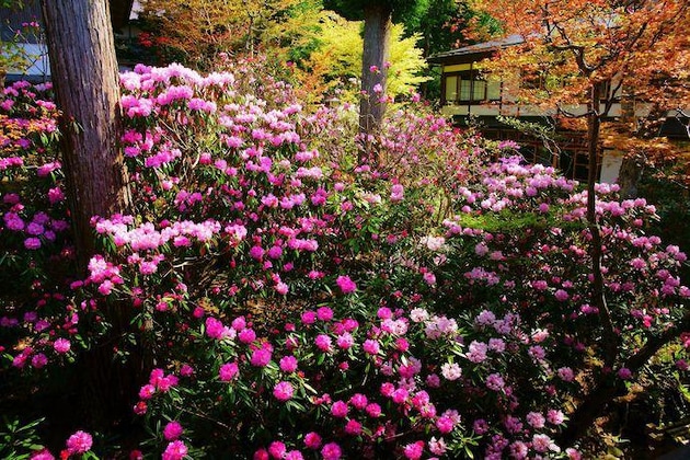 Gallery - Koyasan Shukubo Ekoin