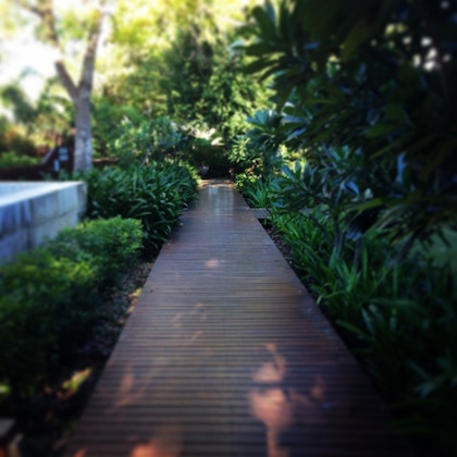 Gallery - The Billi Resort