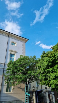 Gallery - Hotel Europa