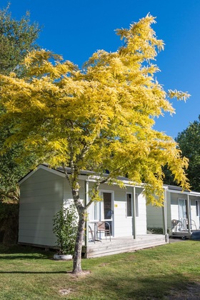 Gallery - Picton Top10 Holiday Park