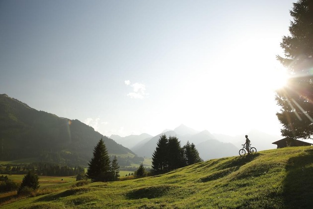 Gallery - Hotel Bergblick
