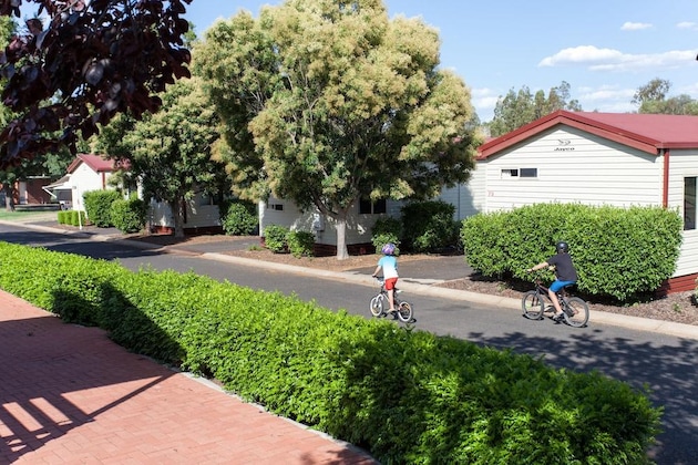 Gallery - Nrma Dubbo Holiday Park