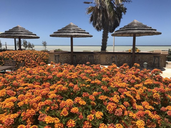 Gallery - Shark Bay Seafront Apartments