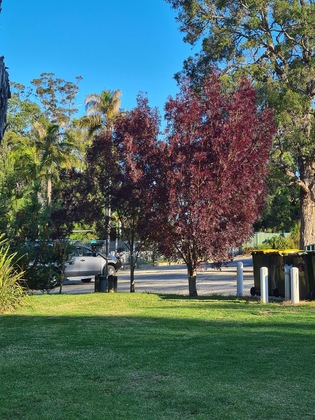 Gallery - Mallacoota's Shady Gully Caravan Park