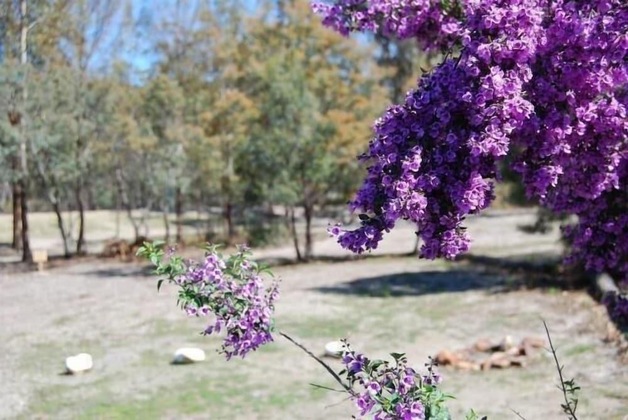 Gallery - Gumleaves Bush Holidays