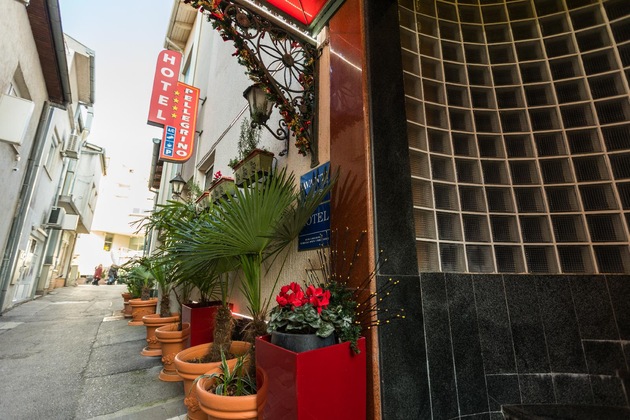 Gallery - Hotel Boutique Pellegrino