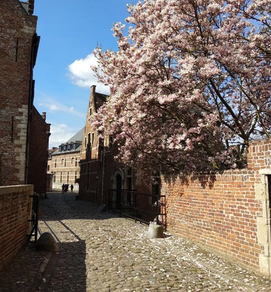 Gallery - Begijnhof Hotel