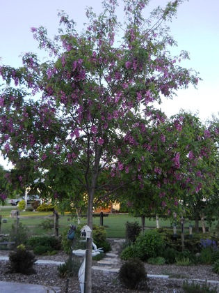 Gallery - Wenzler's Landing Bed & Breakfast