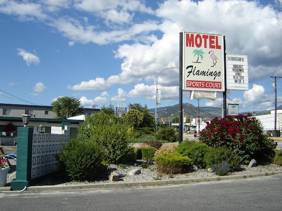 Gallery - Flamingo Motel