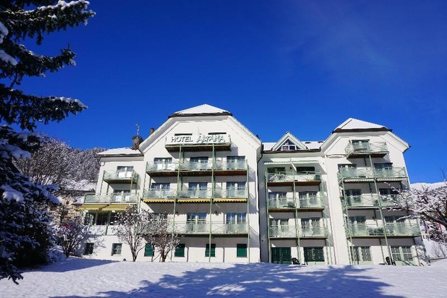 Gallery - Typically Swiss Hotel Altana