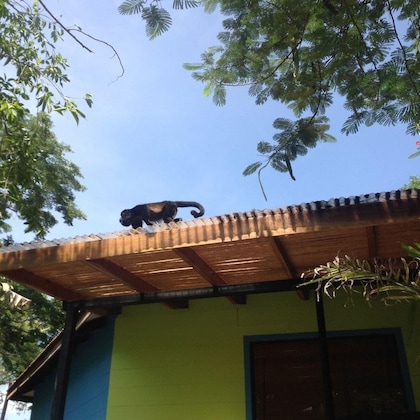 Gallery - Hotel Tamarindo Village