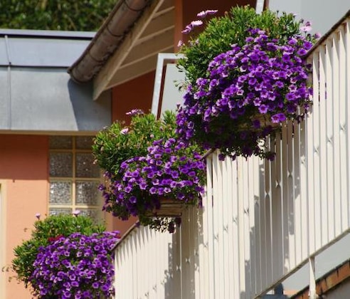 Gallery - Hotel Morgensonne