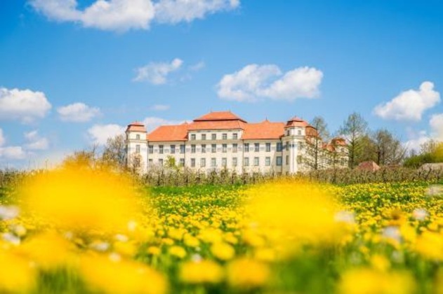 Gallery - Hotel Rad