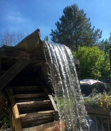 Gallery - Kainsbacher Mühle