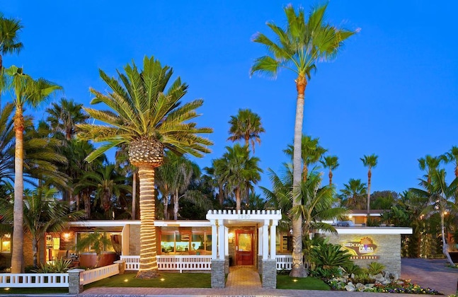 Gallery - Ocean Palms Beach Resort
