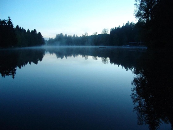 Gallery - Hotel Waldsee