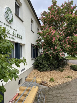 Gallery - Hotel Luther Birke Wittenberg