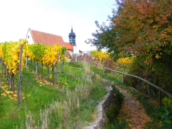 Gallery - Hotel Am Torturm