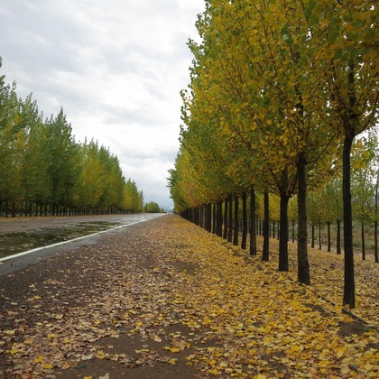 Gallery - Casa De Uco Vineyards And Wine Resort