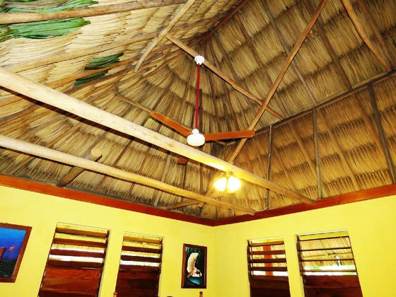 Gallery - Crystal Paradise Resort
