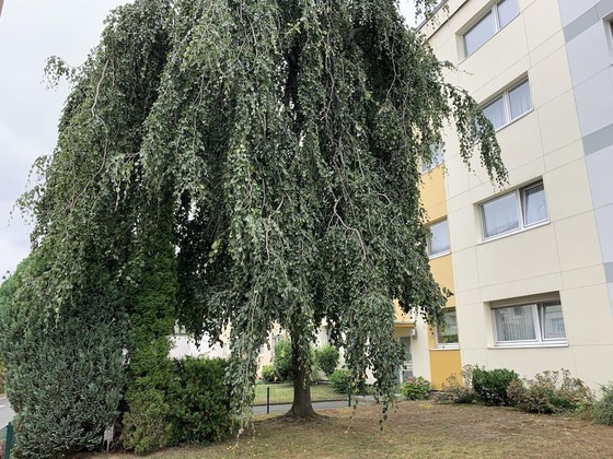 Gallery - Airport Apartment Köln Bonn