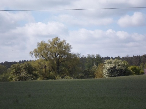 Gallery - Ferienhof Meyer