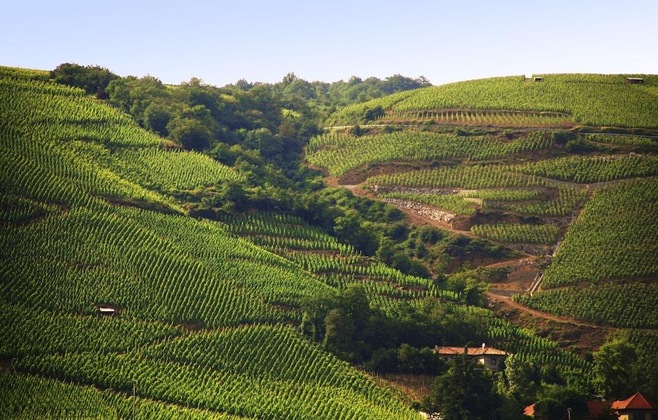 Gallery - Ibis Budget Pouilly-En-Auxois