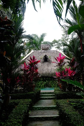 Gallery - La Palapa Eco Lodge Resort