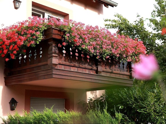 Gallery - Hôtel Les Portes De La Vallée