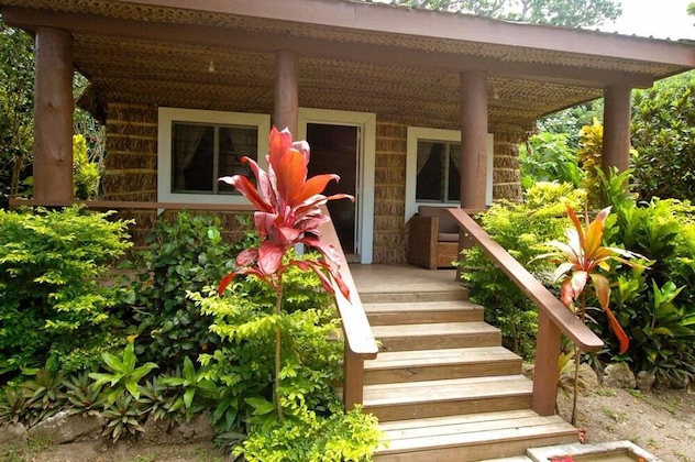 Gallery - Octopus Resort