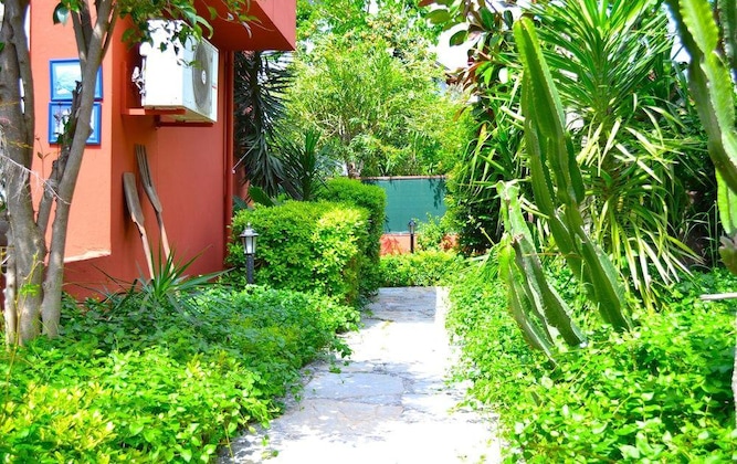 Gallery - Yonca Resort