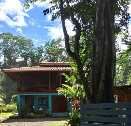 Gallery - Hotel Banana Azul - Adults Only